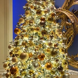 Meet your Posher, Hyemin